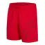 Speedo Boys Hyper Boom Logo 15 inch Watershort Red/Grey
